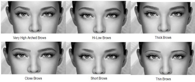 Les différentes formes de sourcils