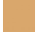 TEINT LUMIERE n°6 - Beige noisette