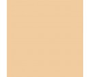 TEINT LUMIERE n°8 - Beige ivoire